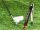 golf-back-ball® Die mobile Drivingrange